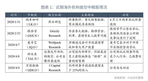 高成長光環(huán)下的財(cái)務(wù)迷局 中概股風(fēng)險(xiǎn)與擔(dān)保業(yè)務(wù)隱憂深度剖析